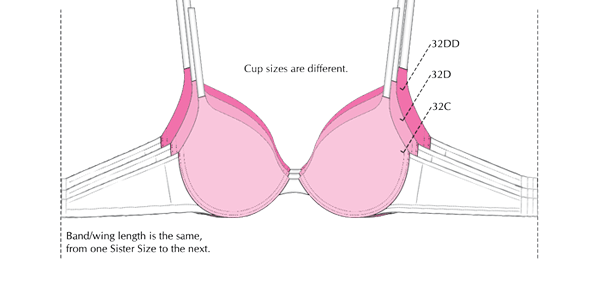 Bra Band Fitting Problem